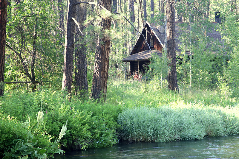 Log house near a river in a forest